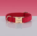 Collier réglable rouge cerise pour chien