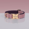 Collier pour chien en velours vieux rose à sangle prune, boucle métallique dorée, sur fond rose poudré