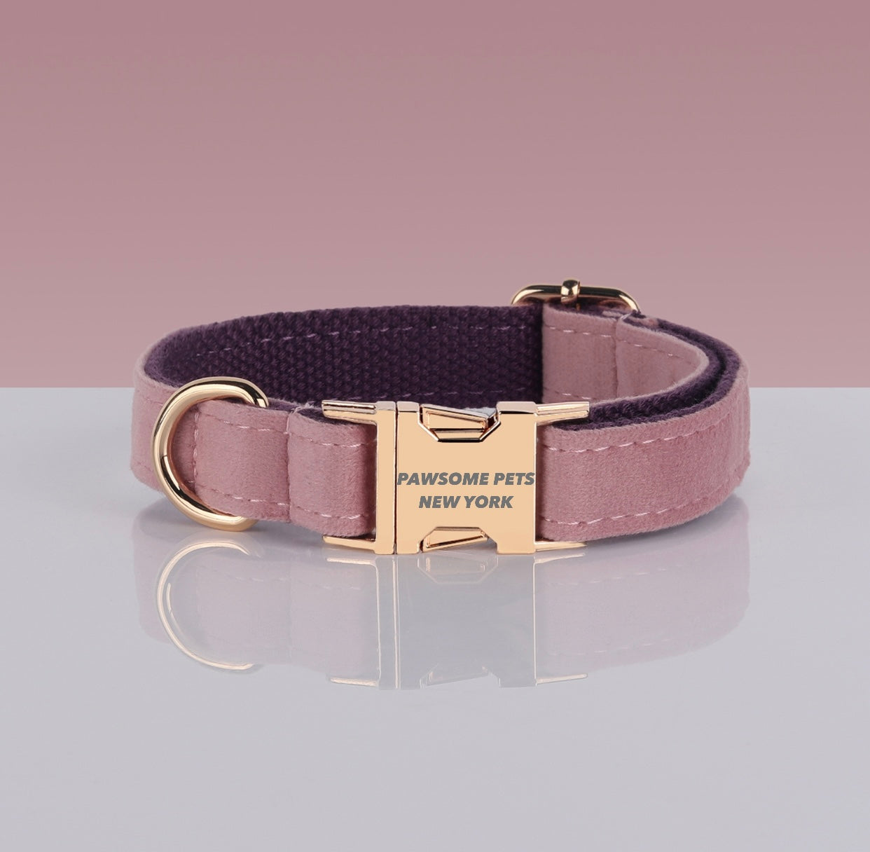 Collier pour chien en velours vieux rose à sangle prune, boucle métallique dorée, sur fond rose poudré