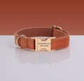 Collier pour chien en velours terracotta, boucle métallique dorée, sur fond terre cuite