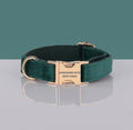 Collier pour chien en velours vert sapin, boucle métallique dorée, sur fond bleu canard