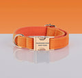 Collier réglable orange corail pour chien