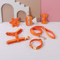 Ensemble 6 pièces fleuri orange pour chien