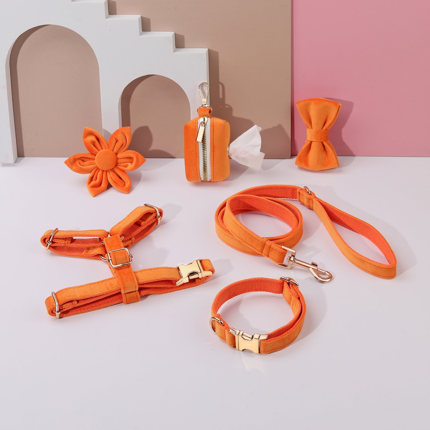 Ensemble 6 pièces fleuri orange pour chien