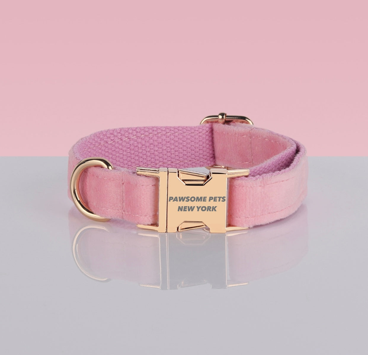 Collier pour chien en velours rose dragée, boucle métallique dorée, sur fond rose