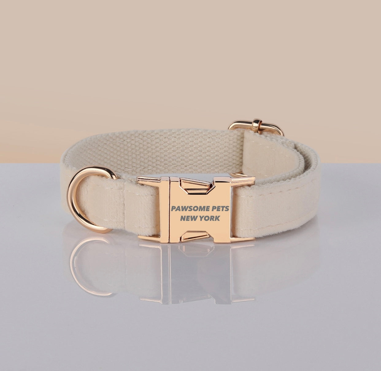 Collier pour chien en velours ivoire, boucle métallique dorée, sur fond sable