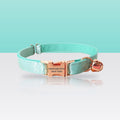Collier vert menthe pour petit chien et chat, sur fond vert d'eau