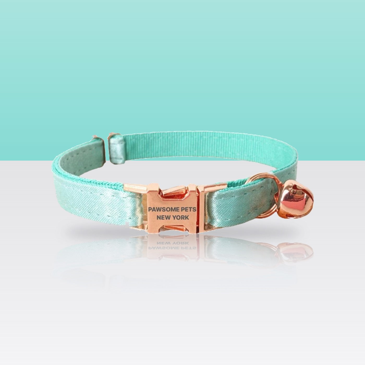 Collier vert menthe pour petit chien et chat, sur fond vert d'eau