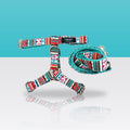 Ensemble aztèque harnais et laisse pour chien, sur fond turquoise