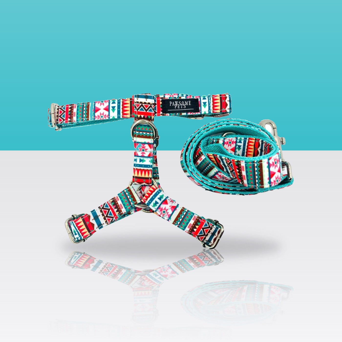 Ensemble aztèque harnais et laisse pour chien, sur fond turquoise
