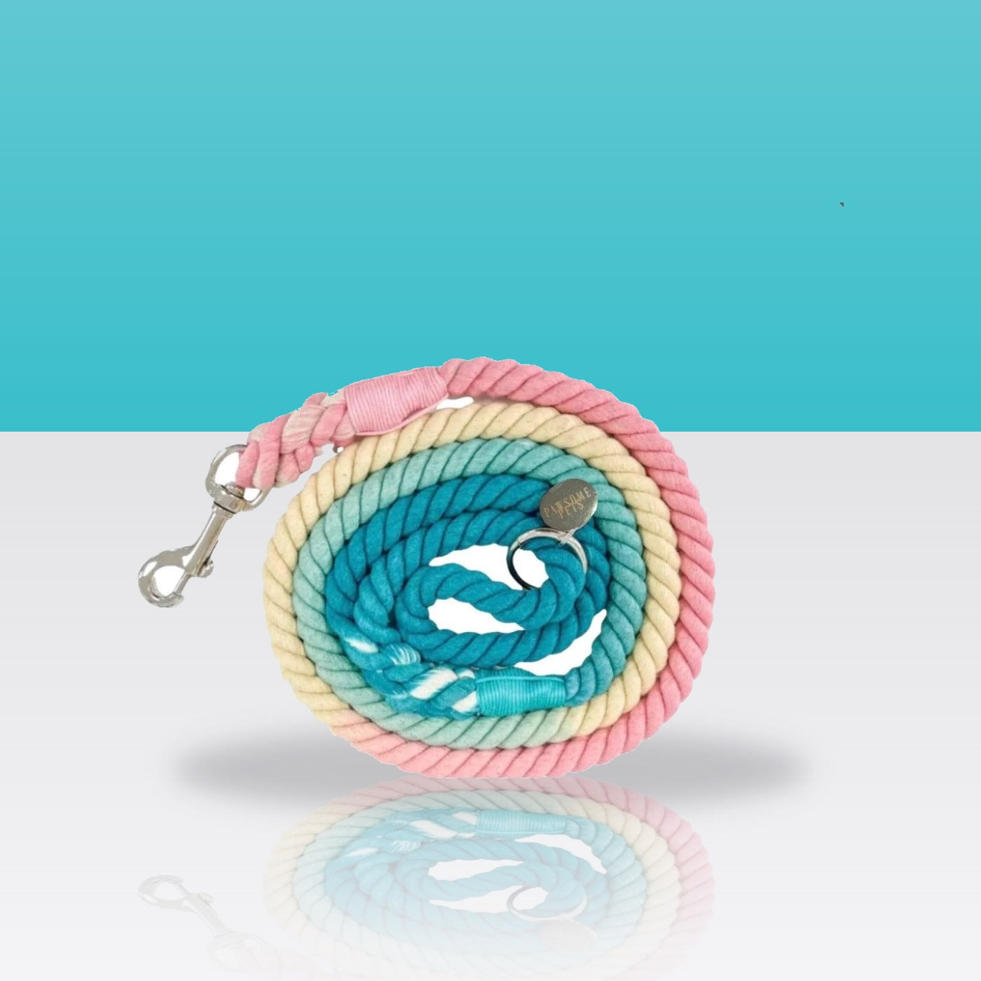 Laisse en corde Candyland pour chien, mousqueton doré, sur fond turquoise