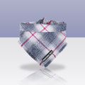 Bandana Ash pour chien, sur fond bleu-gris