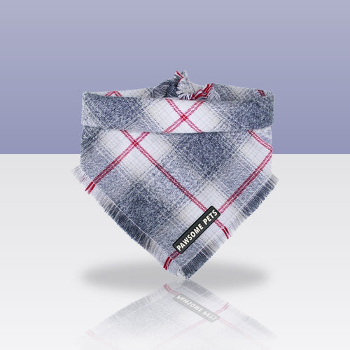Bandana Ash pour chien, sur fond bleu-gris