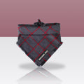 Bandana Benji pour chien, sur fond doux