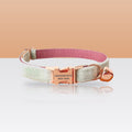 Collier rose et sauge pour petit chien et chat