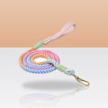 Laisse en corde arc-en-ciel pour chien
