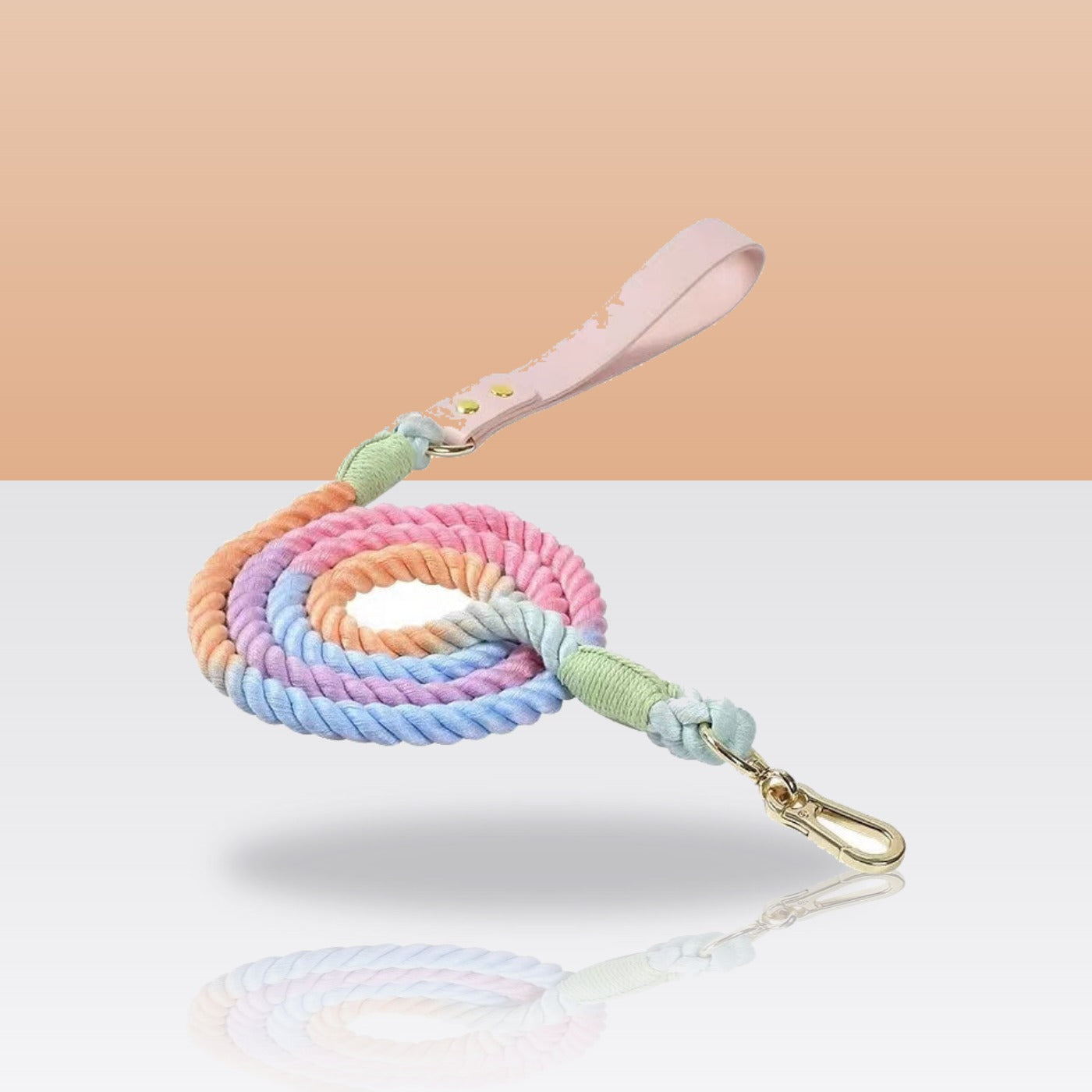 Laisse en corde arc-en-ciel pour chien