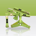Ensemble 5 pièces vert pour chien : harnais, collier, laisse, nœud papillon et porte-sacs