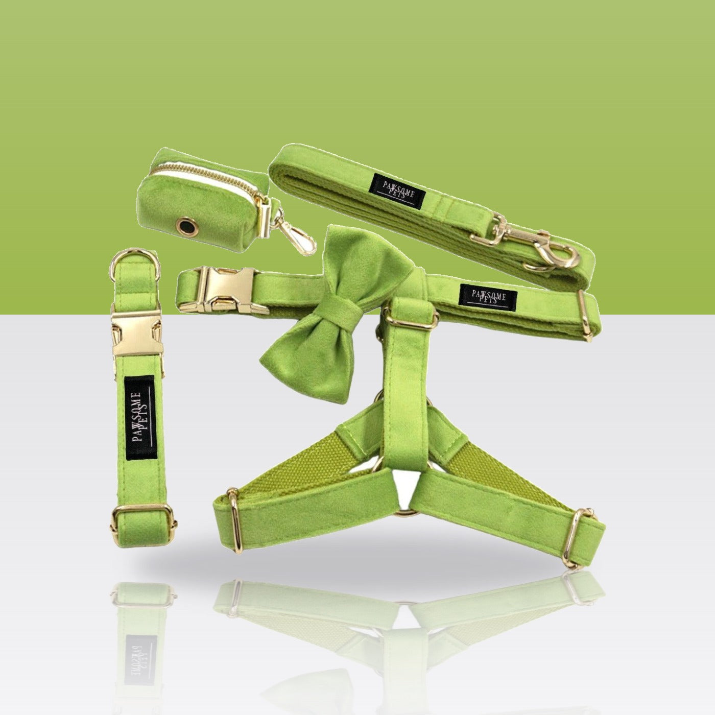 Ensemble 5 pièces vert pour chien : harnais, collier, laisse, nœud papillon et porte-sacs
