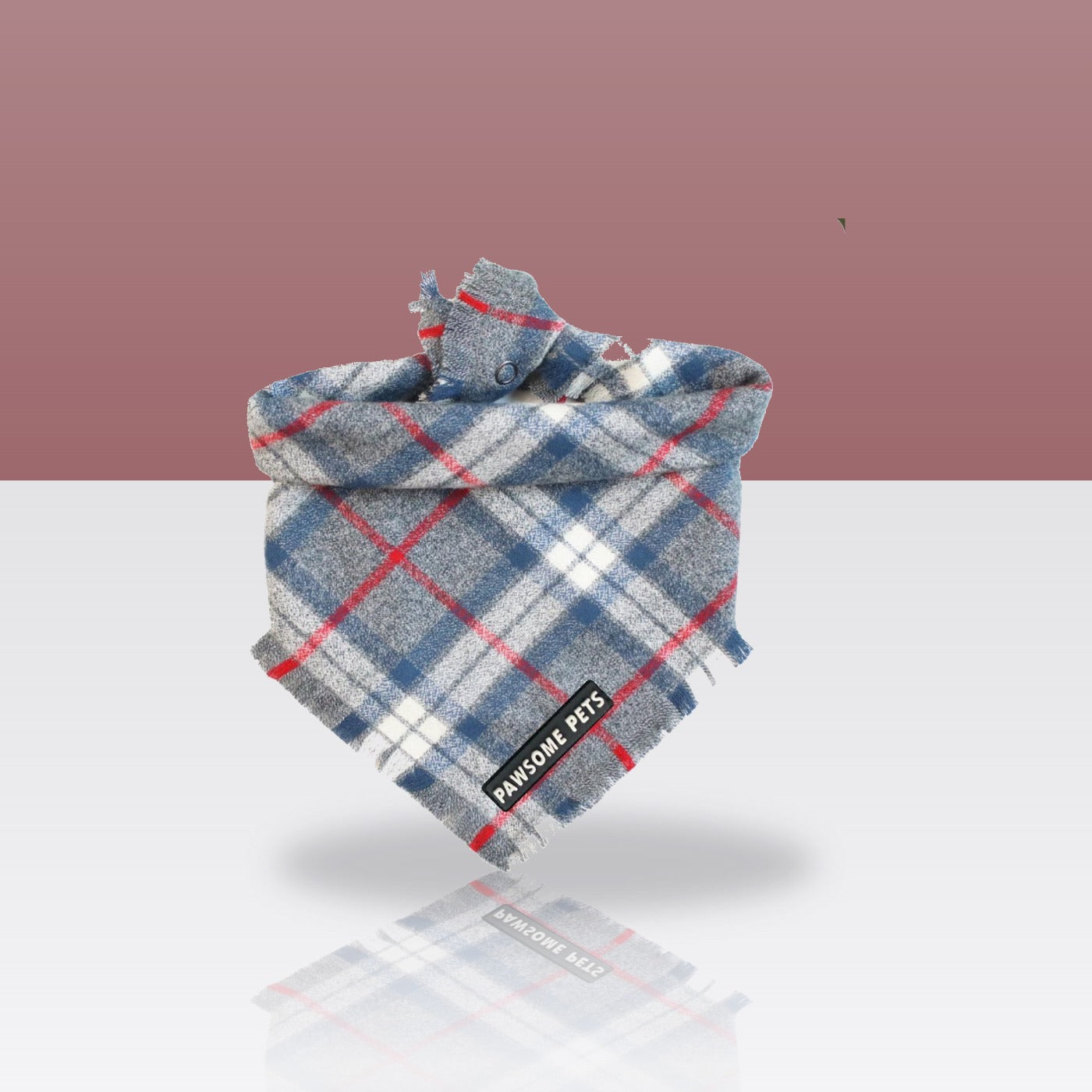Bandana Acadia pour chien, sur fond coloré