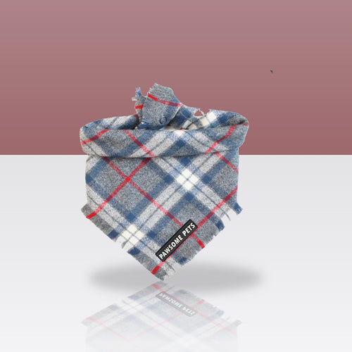 Bandana Acadia pour chien, sur fond coloré