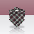 Bandana Aubrey pour chien, sur fond coloré