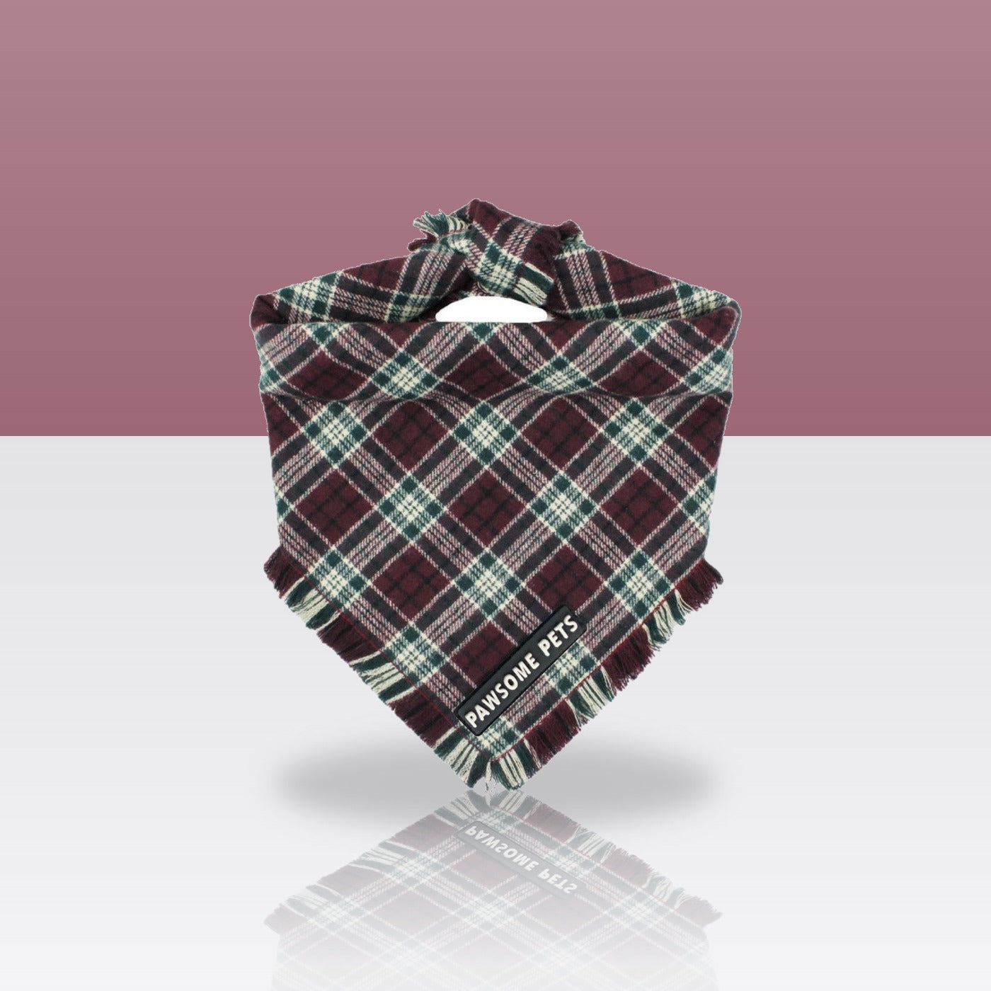 Bandana Aubrey pour chien, sur fond coloré