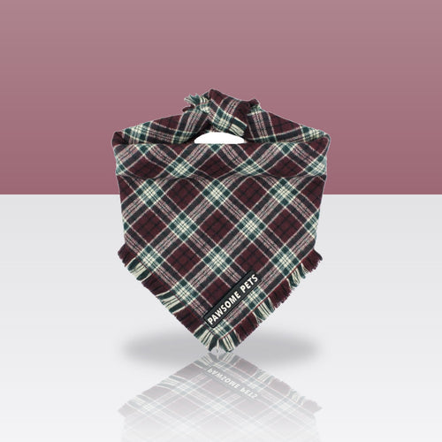 Bandana Aubrey pour chien, sur fond coloré