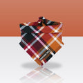 Bandana Moisson pour chien, sur fond coloré