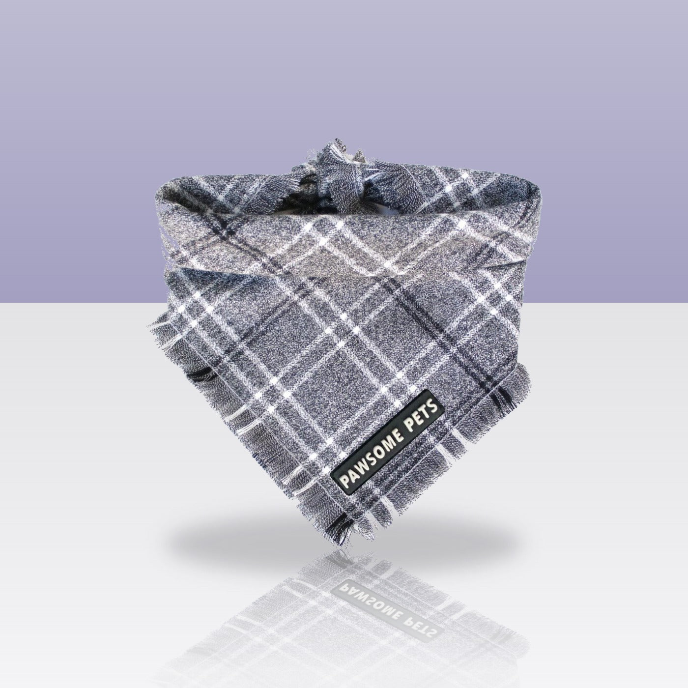 Bandana Rainer pour chien, sur fond coloré