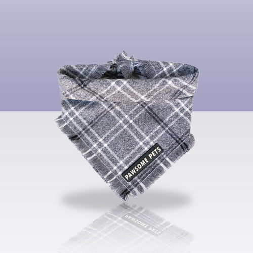 Bandana Rainer pour chien, sur fond coloré