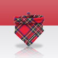 Bandana Nox pour chien, sur fond coloré