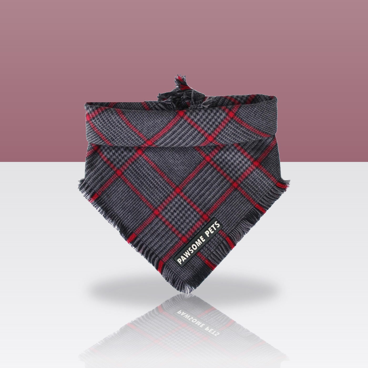 Bandana Monroe pour chien, sur fond coloré