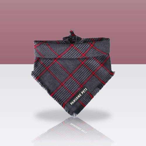 Bandana Monroe pour chien, sur fond coloré