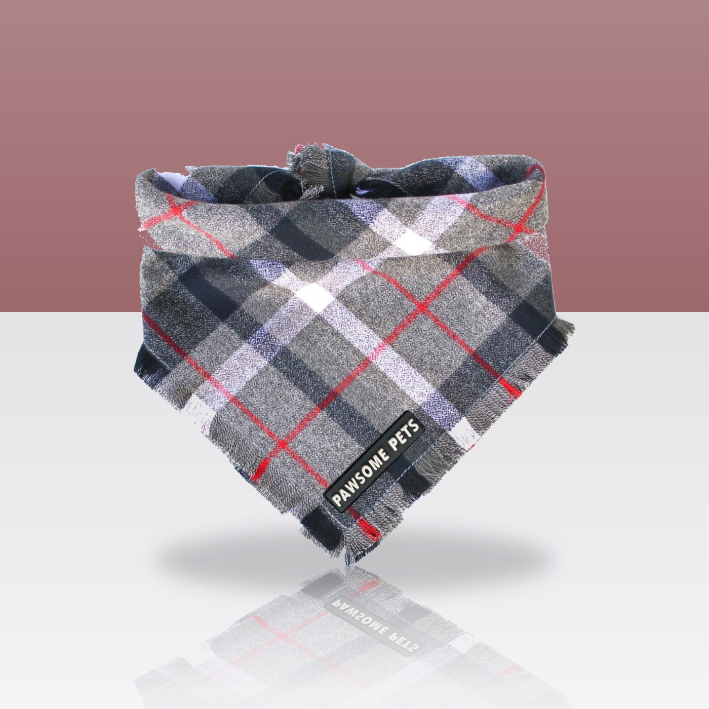 Bandana Ranger pour chien, sur fond coloré