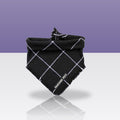 Bandana Betty pour chien, sur fond coloré