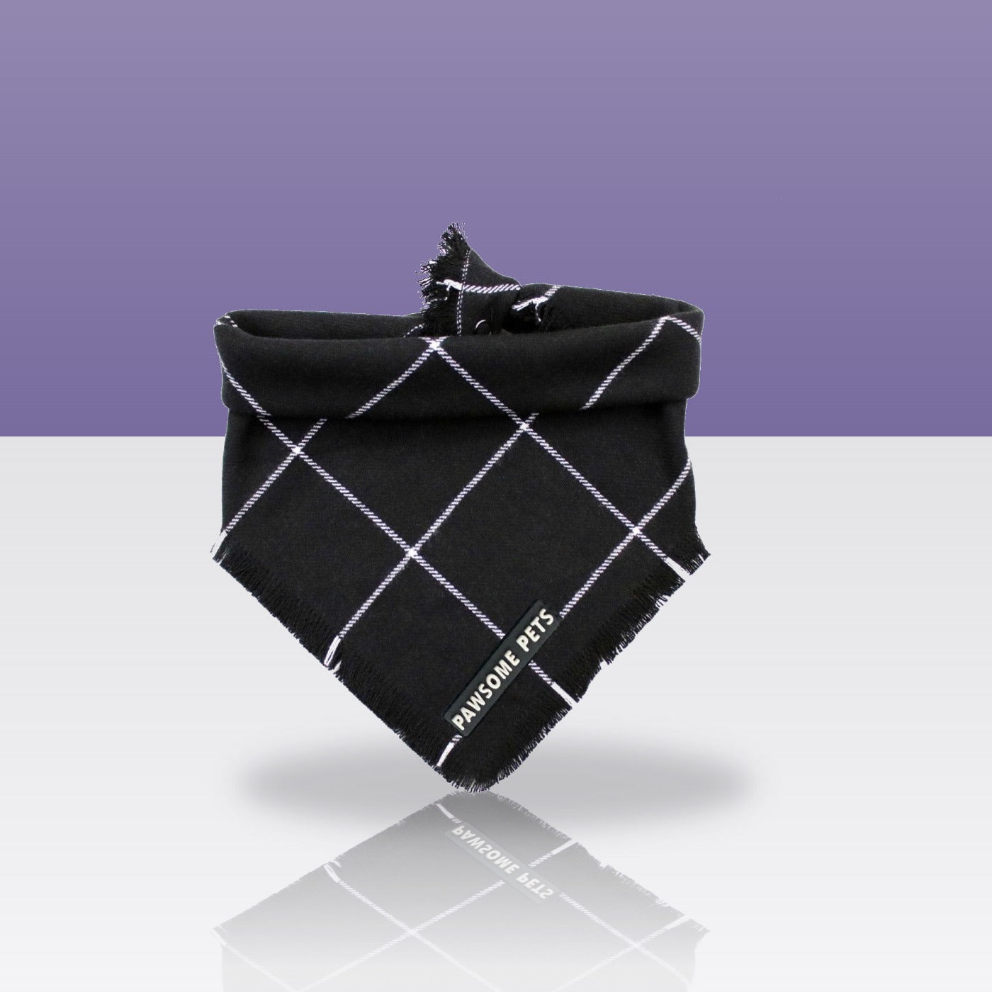 Bandana Betty pour chien, sur fond coloré