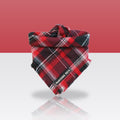 Bandana Ripley pour chien, sur fond coloré