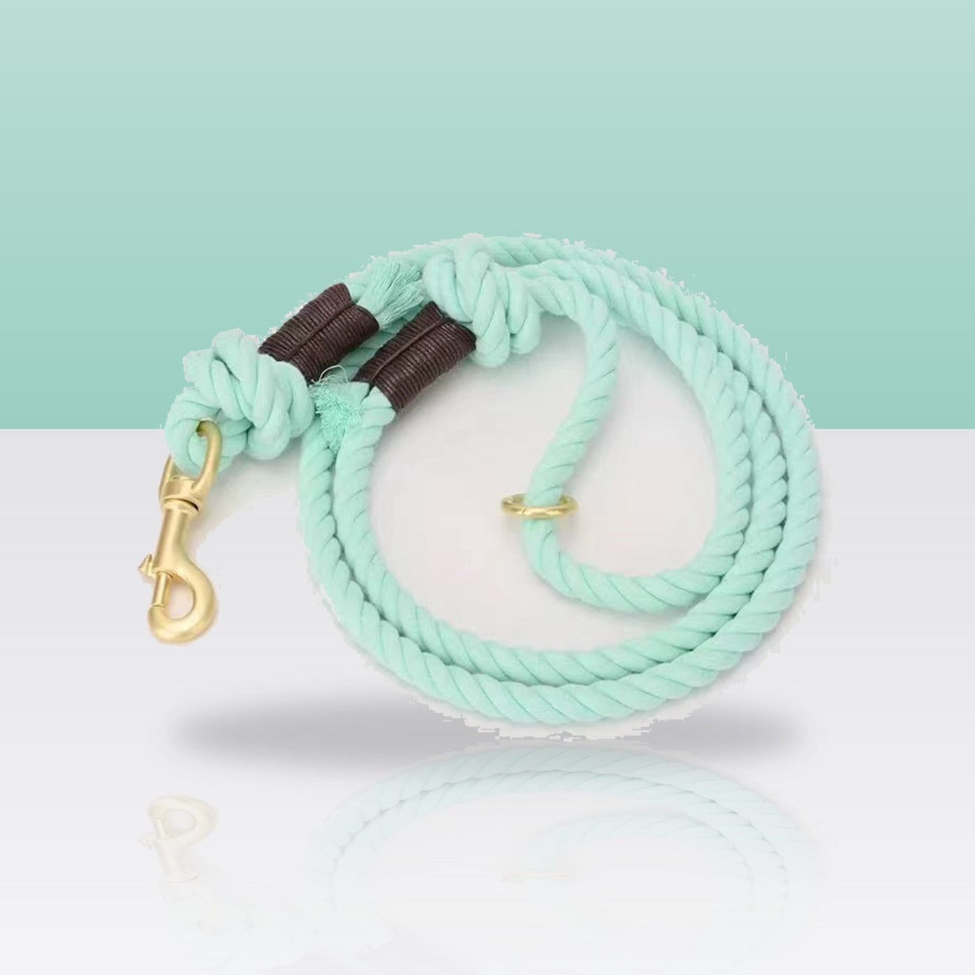 Laisse en corde vert menthe pour chien, mousqueton doré