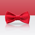 Nœud papillon rouge pour collier de chien