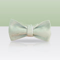 Nœud papillon vert tilleul pour collier de chien