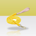 Laisse en corde rose et or pour chien