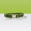 Collier vert olive en velours pour petit chien et chat