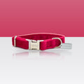 Collier rouge en velours pour petit chien et chat