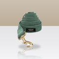 Laisse vert olive pour chien, mousqueton doré