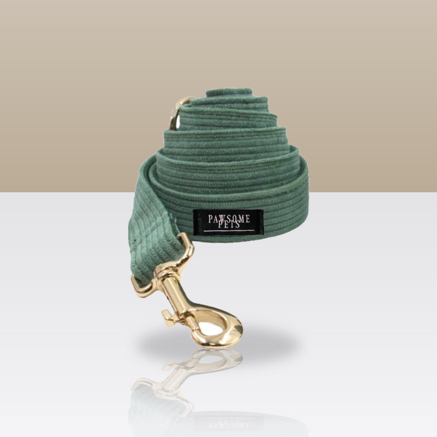 Laisse vert olive pour chien, mousqueton doré
