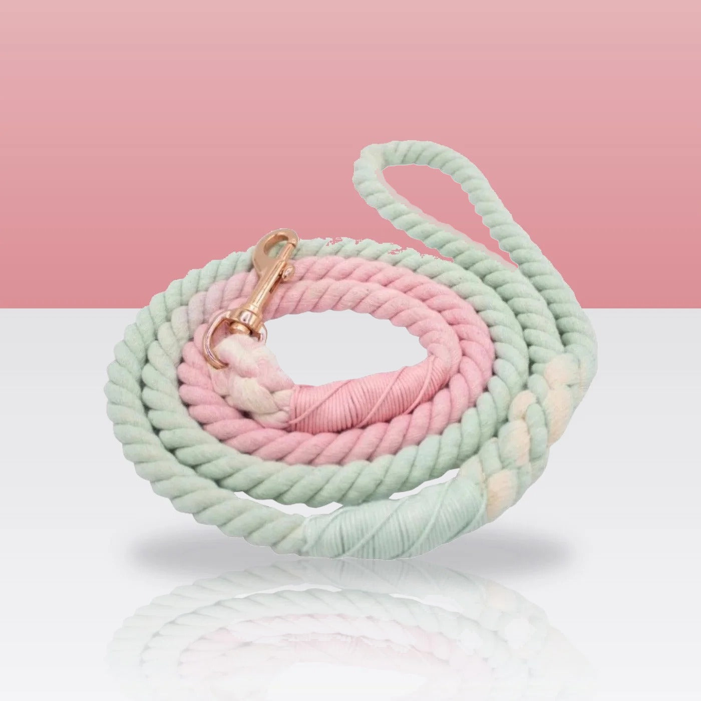 Laisse en corde rose et sauge pour chien, mousqueton doré