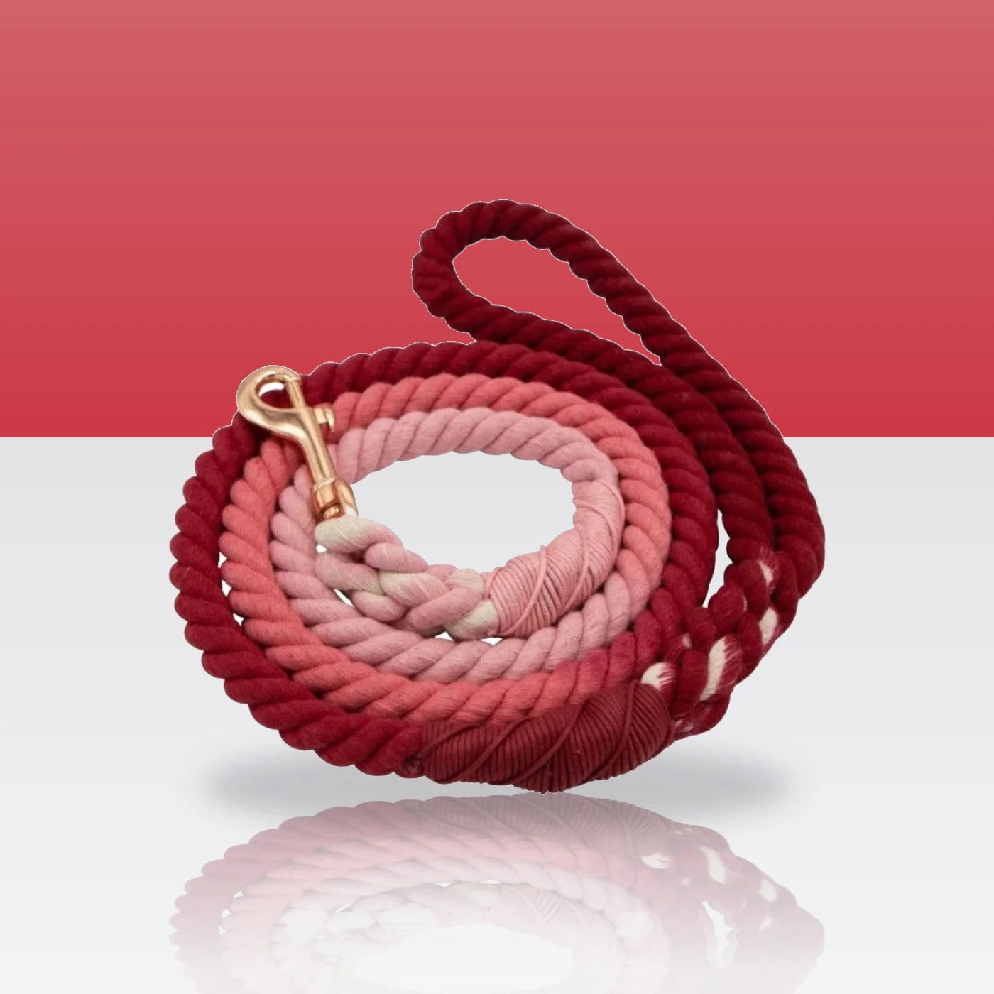 Laisse en corde Canna pour chien, mousqueton doré