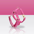 Harnais réglable rose fuchsia pour chien