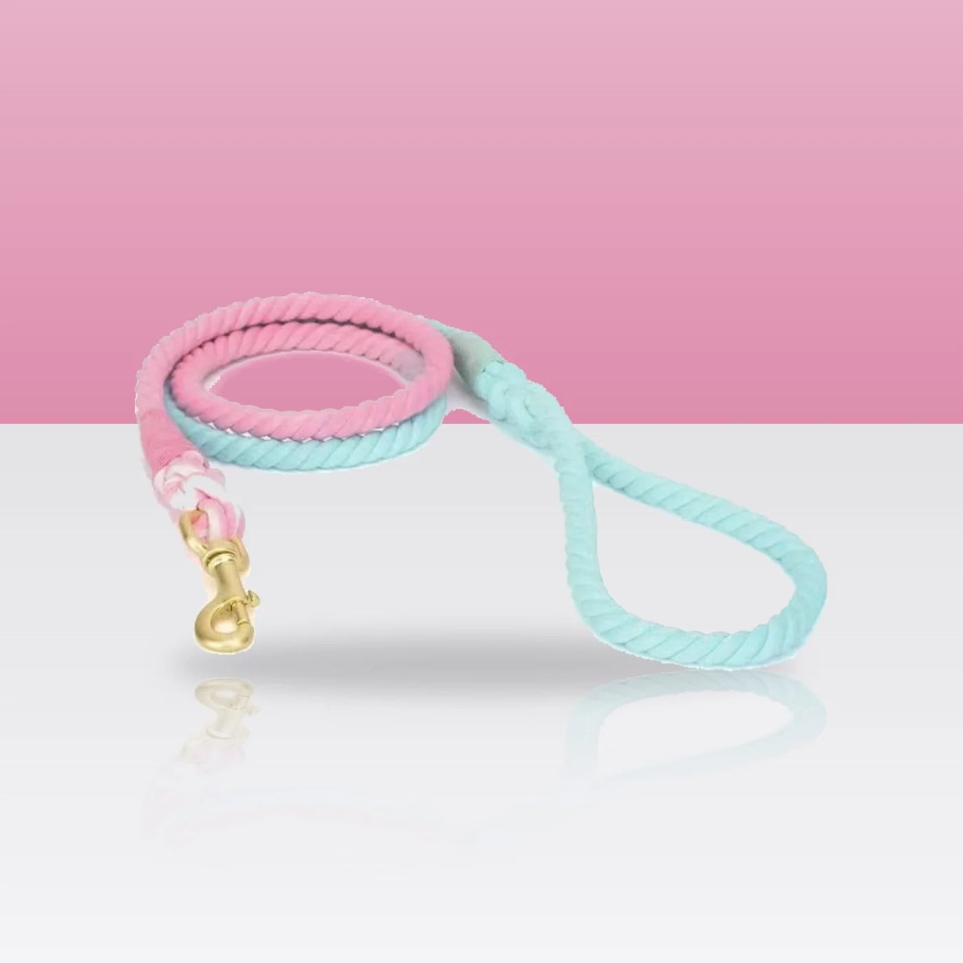 Laisse en corde Caroline pour chien, mousqueton doré